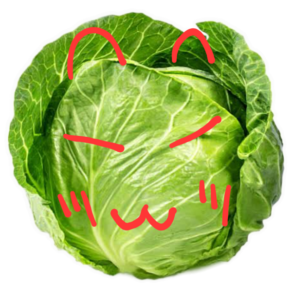 Green cabbage with red lines drawn on it